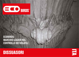 Ecobirds® - N° 1 nel controllo dei piccioni e dei volatili molesti